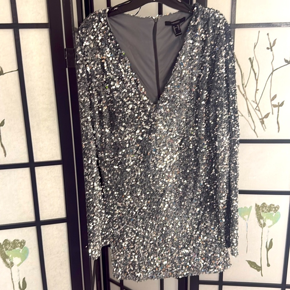 Silver Sequin Lined Mini Dress